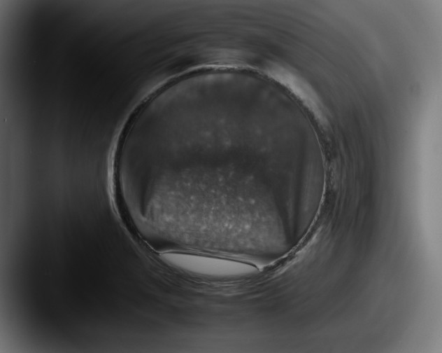 X0000087601229200705181231