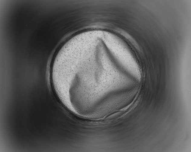 X0000087601232200705181231