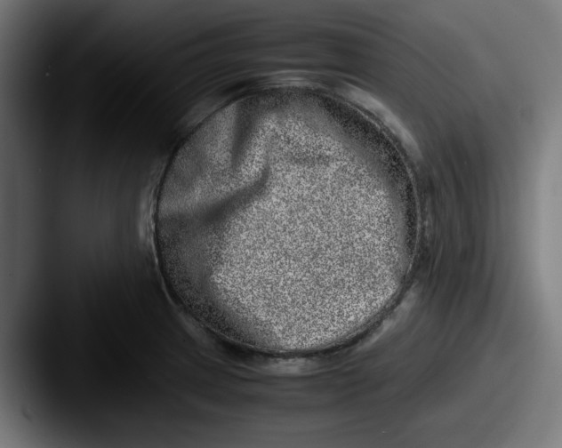 X0000087601233200705181231