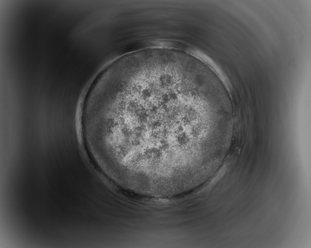 X0000087601235200705181231