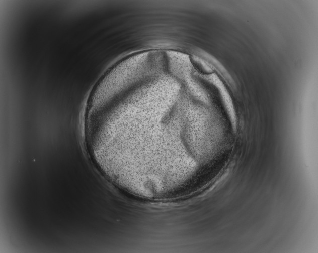 X0000087601236200705181231