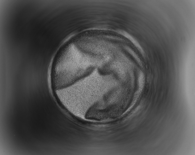 X0000087601237200705181231