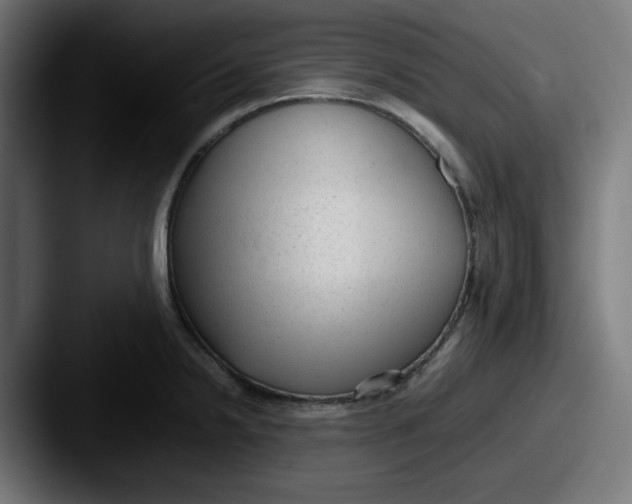 X0000087601238200705181231