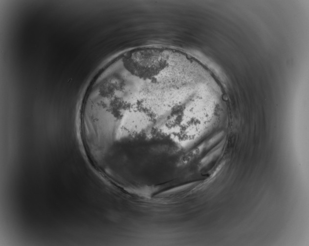 X0000087601239200705181231