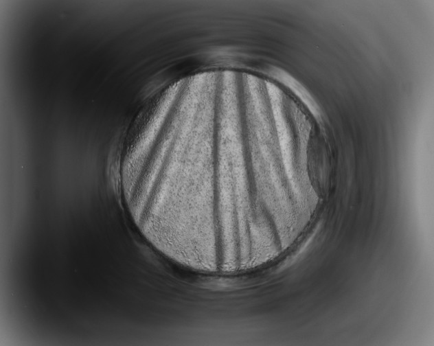 X0000087601241200705181231