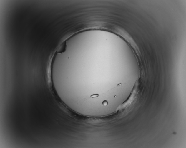 X0000087601242200705181231