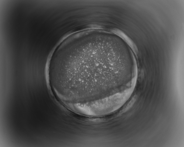 X0000087601243200705181231