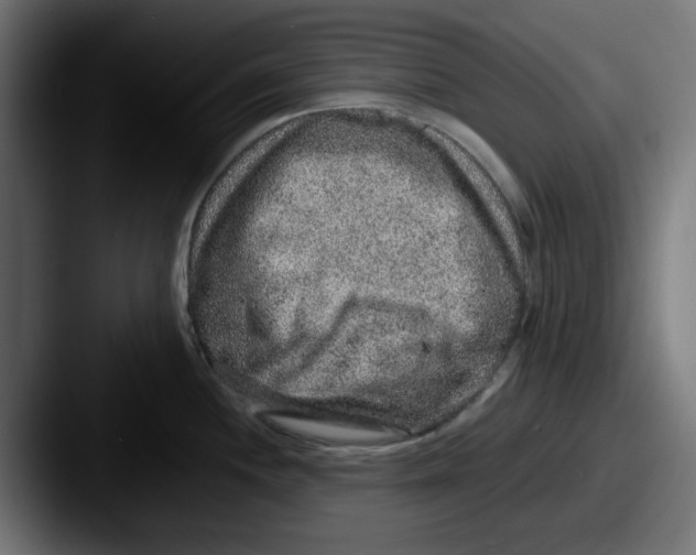 X0000087601244200705181231