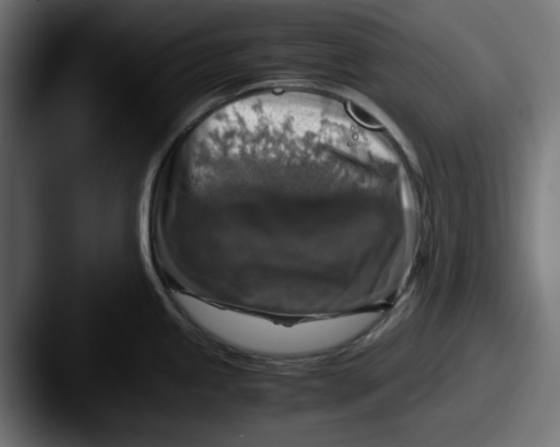 X0000087601245200705181231