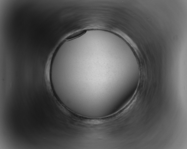 X0000087601246200705181231