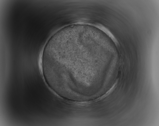X0000087601247200705181231