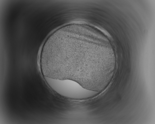 X0000087601248200705181231