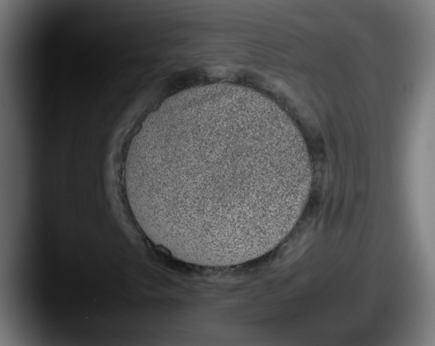 X0000087601249200705181231