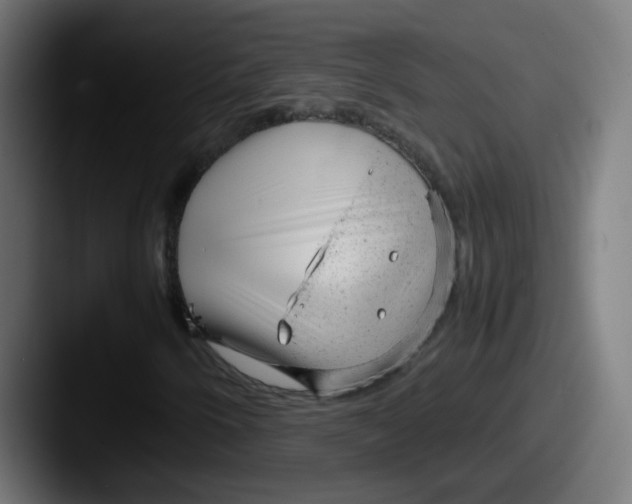 X0000087601250200705181231