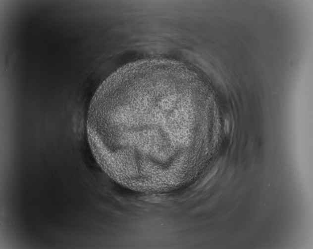 X0000087601251200705181231
