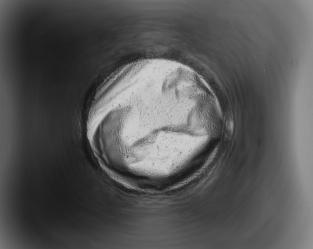 X0000087601252200705181231