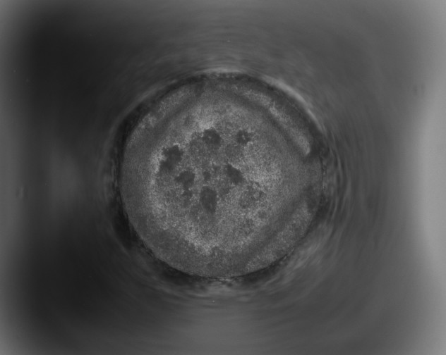 X0000087601255200705181231