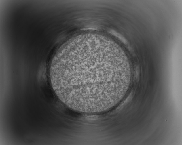 X0000087601258200705181231