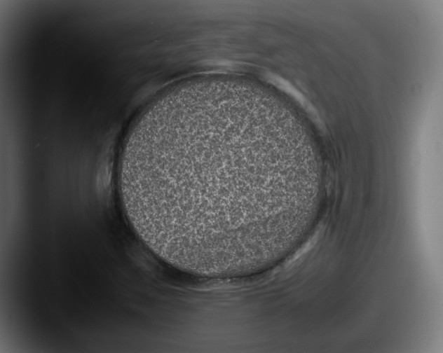 X0000087601259200705181231