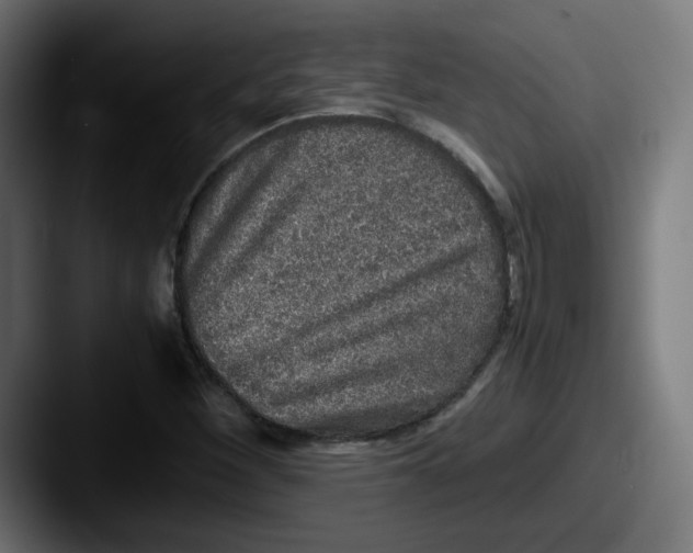 X0000087601260200705181231