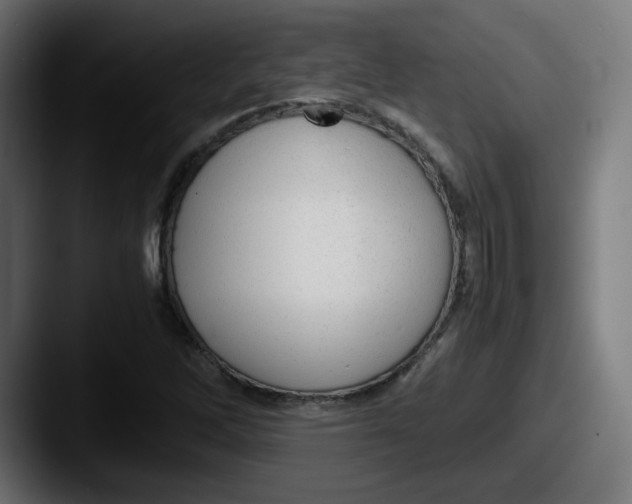 X0000087601262200705181231