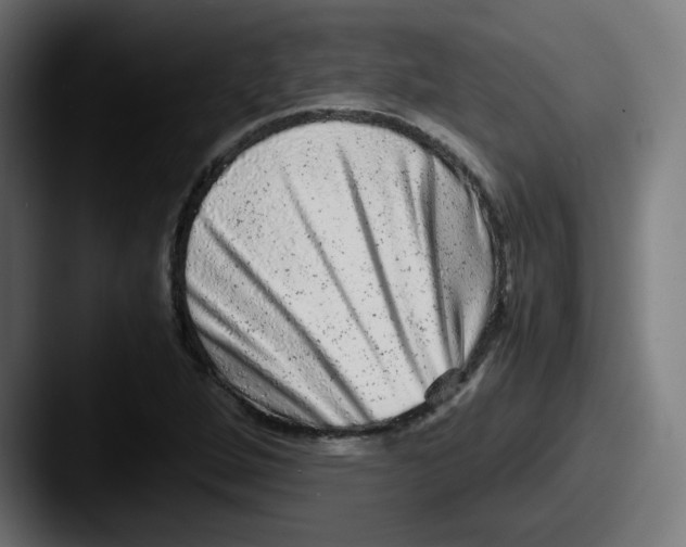 X0000087601264200705181231