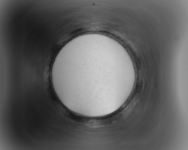 X0000087601265200705181231