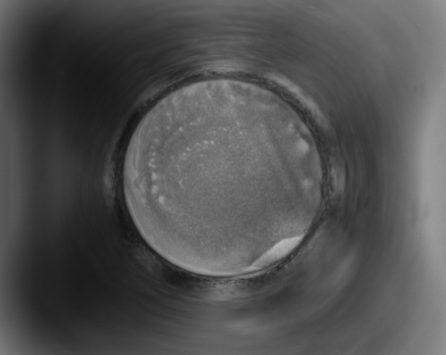 X0000087601266200705181231