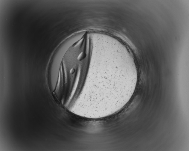 X0000087601268200705181231