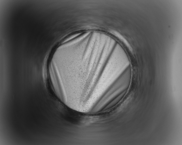 X0000087601269200705181231
