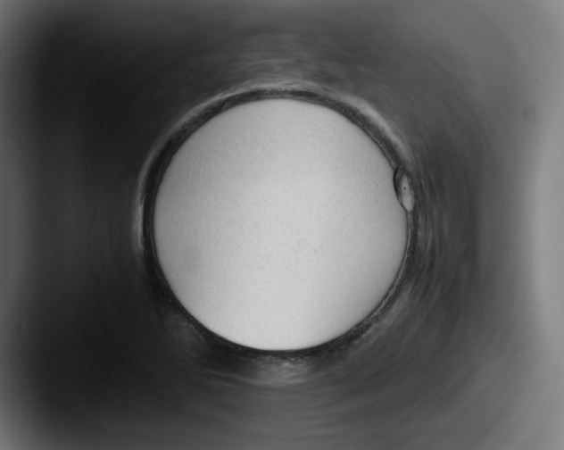 X0000087601270200705181231
