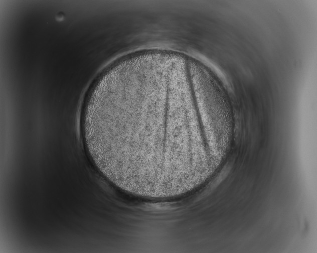 X0000087601272200705181231