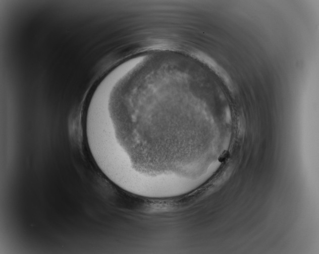 X0000087601274200705181231