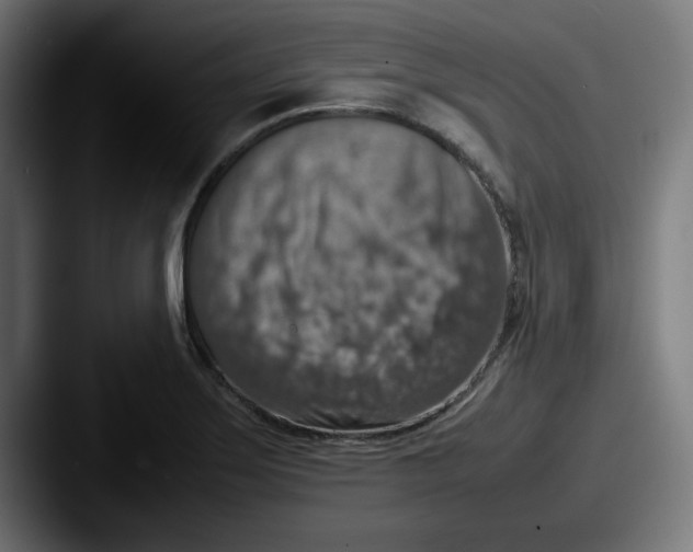 X0000087601275200705181231