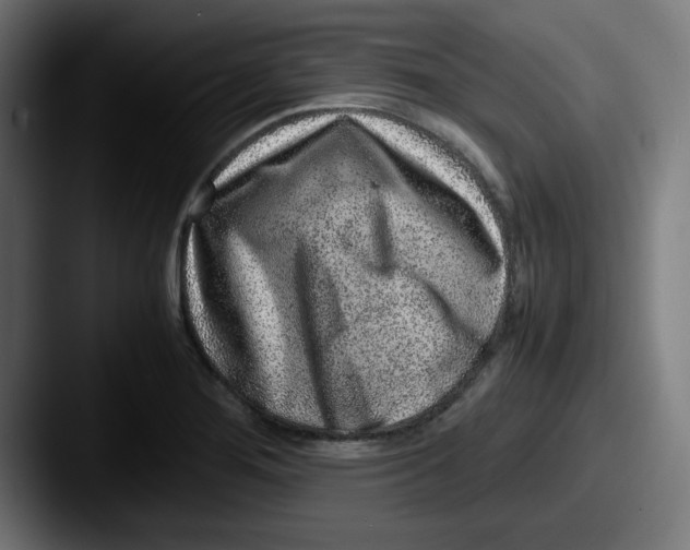 X0000087601276200705181231