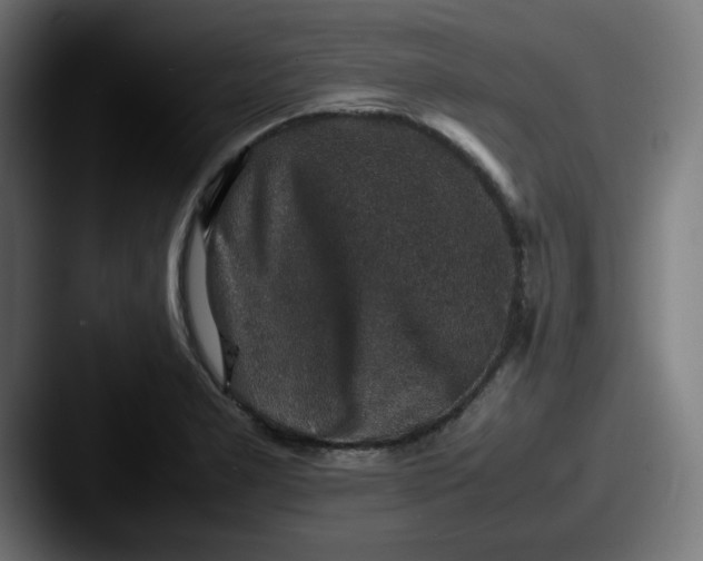 X0000087601277200705181231