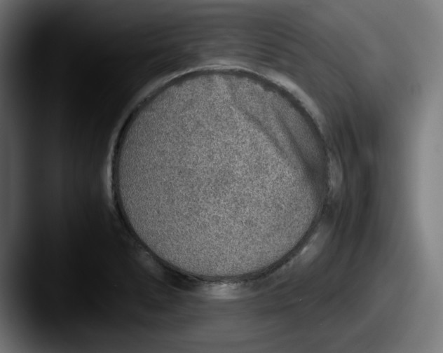 X0000087601278200705181231