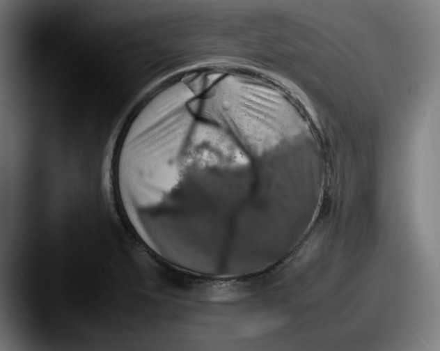 X0000087601279200705181231