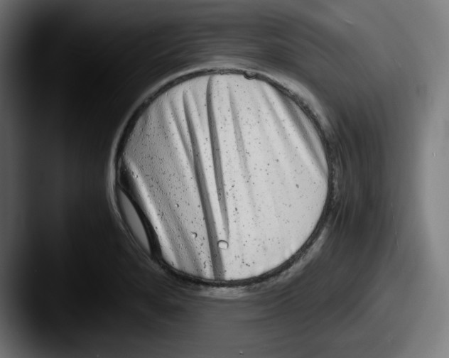 X0000087601280200705181231