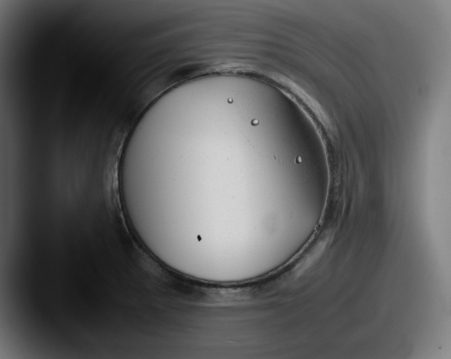 X0000087601281200705181230