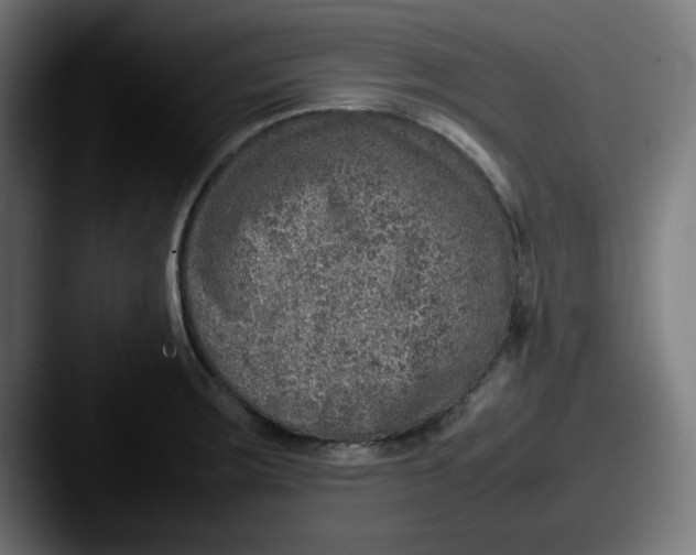 X0000087601283200705181230