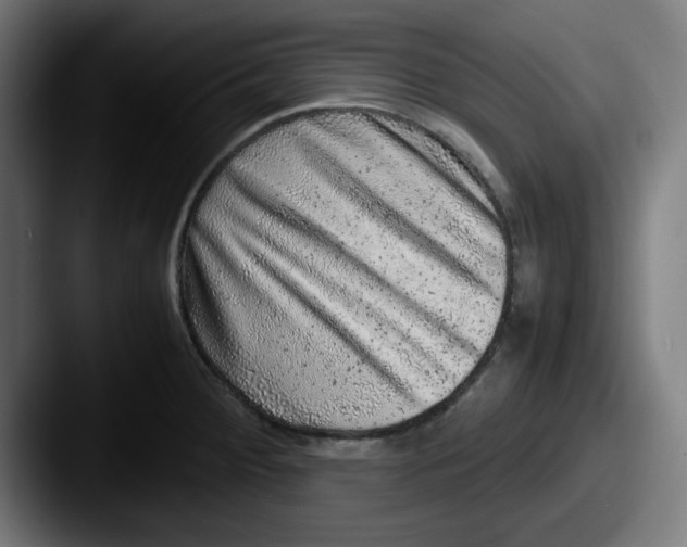 X0000087601284200705181230