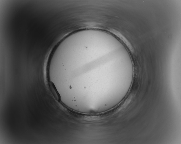 X0000087601285200705181230