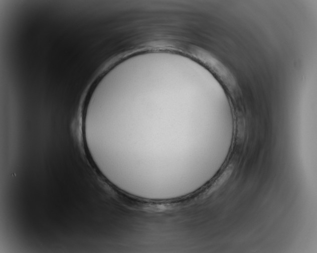 X0000087601286200705181230