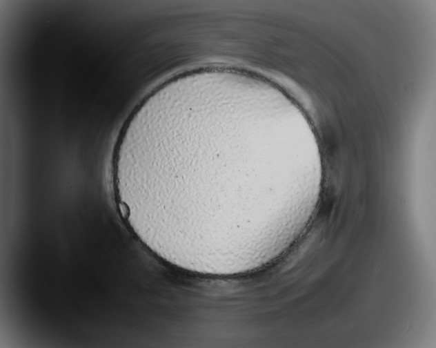 X0000087601287200705181230