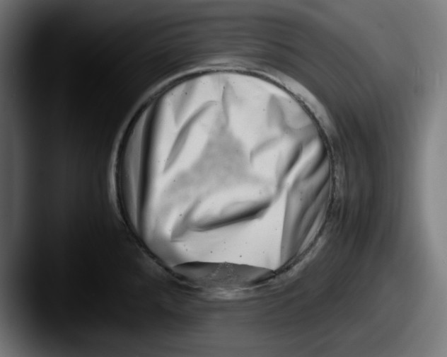 X0000087601288200705181230