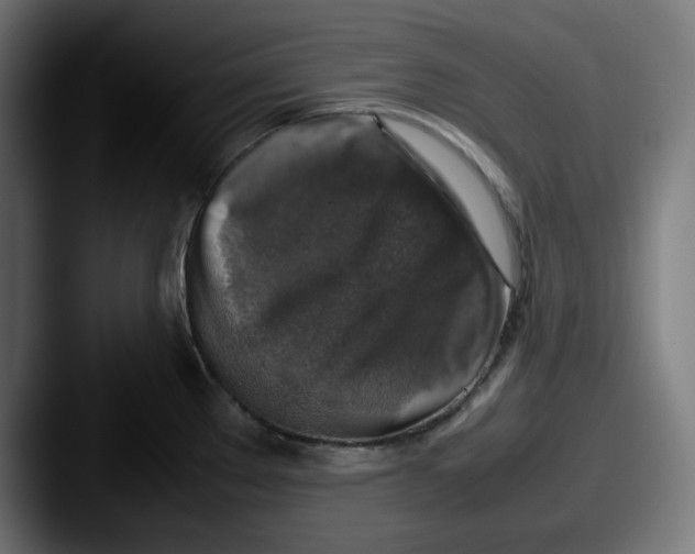 X0000087601289200705181230