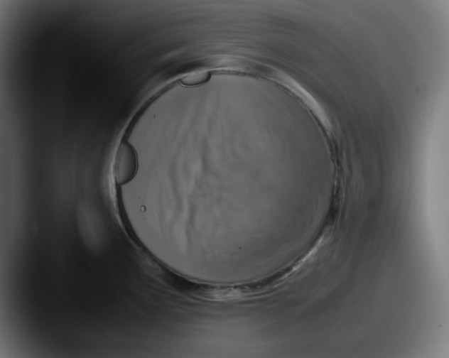 X0000087601291200705181230