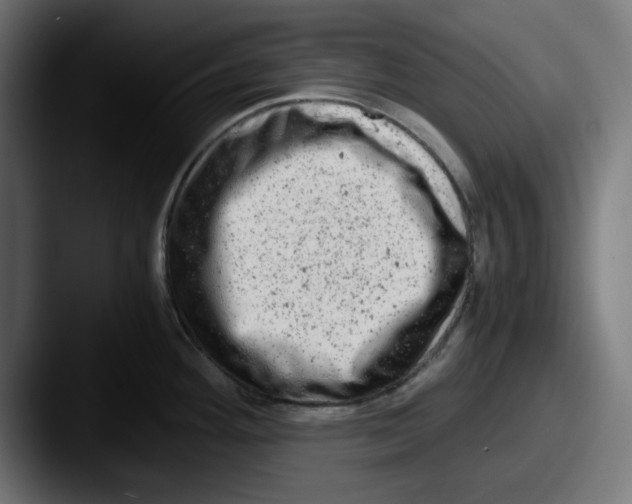 X0000087601292200705181230