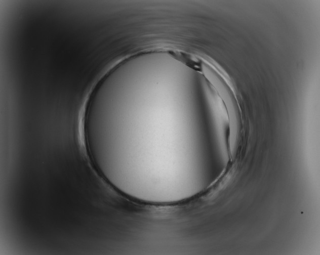 X0000087601293200705181230